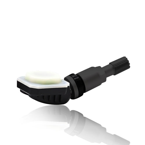 TPMS RF sensors, metal, black